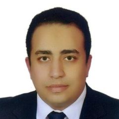 Ahmed Nabil Awad Gaafar, Sales Manager