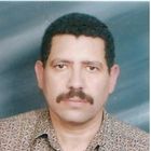 Mohamed Diab, Proposal Project Manager