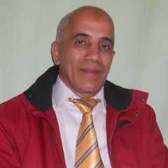 Nadjib RABAHI, Freelancer