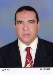 محمد شعيب, مهندس استشاري معماري