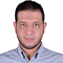 Amr Mohamed Sayad, Sales And Operations Manager