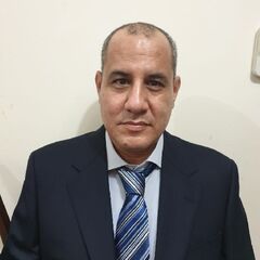Ashraf Gerges, Construction Manager