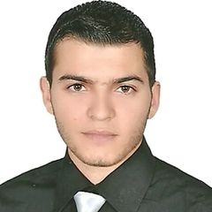 Mohamed Amer, Technical Support Advisor