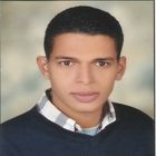 Mohamed Abdelmagid Mohamed Moustafa