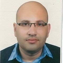 محمد زيد صبحي ابو عودة, Senior Accountant