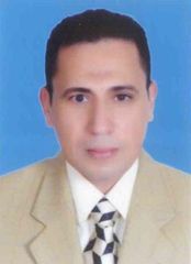 Ayman Fathy Amin Omar Omar, Electrical Senior Supervisor