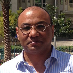 Mohamed Aly Mohamed Aly Ahmed Bakkar, Senior Architect