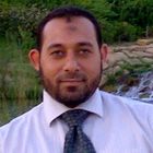 Ehab Raslan, Financial Manager