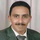 Mohamed Taher Sobhe Naser Elden, Senior application development