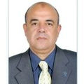 Mamdouh Goneim, Chief Financial Officer (CFO)