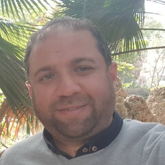 أحمد الجارحى, Stock Controller