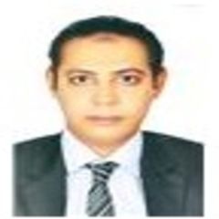 Mohamed Ewida, Software Project Manager