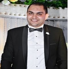 Ahmed Atef El Sayed Agiiba, Auditing Specialist