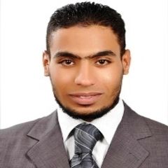 محمد فتحي, Automotive Parts Sales Executive