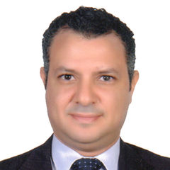 Mohammed Nabil AbdElghany