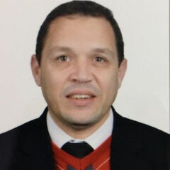 محمود أبو الحسن, Head of Managed, Support and IT Services 