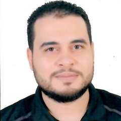 Mohamed Fathy Metwaly Eltayear, Technical Project Manager (PMO)