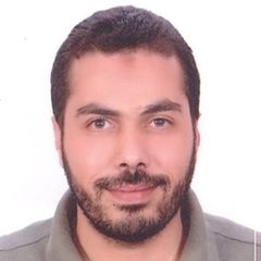 Ahmed Salah, Financial Controller