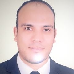 وليد عبدالمطلب احمد, مدير ادارة التخليص الجمركى والتصاريح