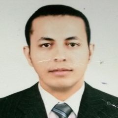 Mostafa  Gad, Finance Manager