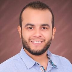 محمد صلاح محمد رمضان العشماوى, Accountant, supervisor at cambridge weight plan 