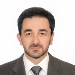 عماد عدنان ابراهيم غوردلو, Team Leader / Senior consultant / Project Manager