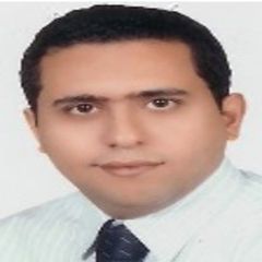 AMRO ABDULHADI, Branch accountant