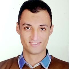 Mahmoud  Mustafa Mohammed Al Sayed Ali