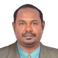 Ali Abdin Abd Alkarim Abdin, Electrical Engineer