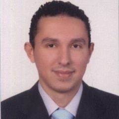 محمد  ابو العلا, Site accountant