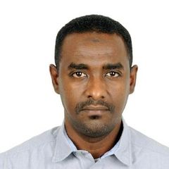 Mohamed Motasim Hassan Ahmed, Application Developer