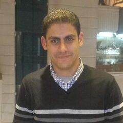 Abdelmaksoud Amer Abdelmaksoud Hassan, Sharepoint & .NET Developer