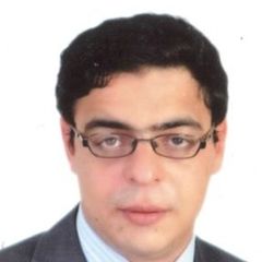 Amr Aly, Senior International Marketing Analyst