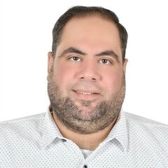 محمد  عصام الدين محمد عبد الله, Technical Director