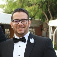 Ahmed Osama Mashaly, Reporting and Budgeting Manager