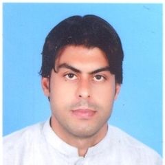 amjad ali, electrical engineer