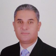 Hany Sorour, Quality Assurance Specialist (QA Specialist)