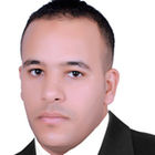 ahmed gamal ragab, manager of it