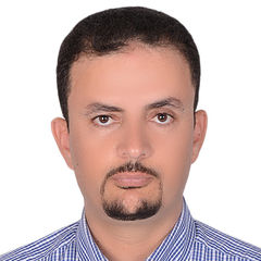 Mohamed Habiba, Audit, Risk, and compliance professional