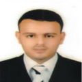 محمد فايد ابراهيم, مراجع حسابات