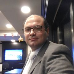 Mohamed Salah Al-Din, Chief Accountant