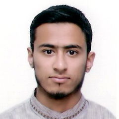 Junaid Ali Reshi, Database Programmer