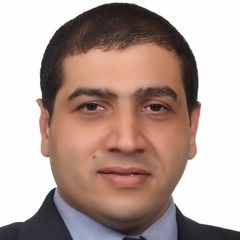 محمد عبد الستار حافظ, Partner & Head of Consulting Division
