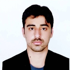 Shahzad Aurang Zeb