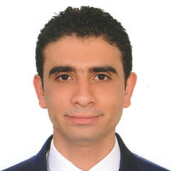 mina youssef aziz Mikhael, accountant