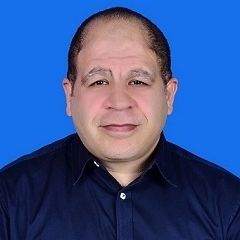 Sameh Fathey Fayed, System Administrator