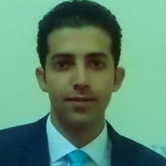 محمد رجب عبدالحفيظ الدسوقي, FLM Engineer