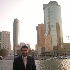 Ahmed El-Sayed, BI Consultant