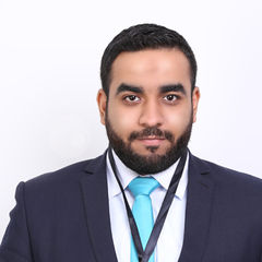 Mo'men Mohamed, Senior Frontend & WordPress Developer - Remotely