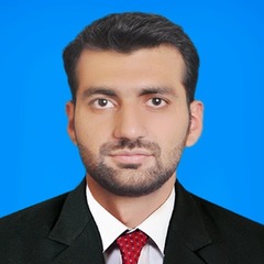 Hamza  Tariq